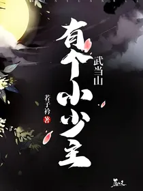 武当山上有个小少主