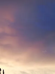狂傲与甜心