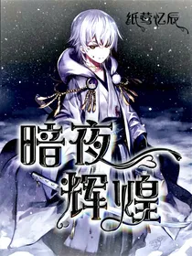 暗夜与辉煌——查理九世（精修中）