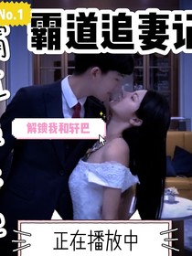 霸道追妻记
