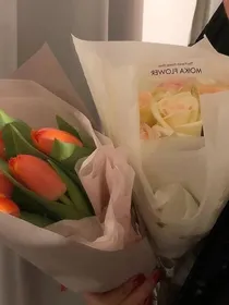 两个沙雕的日常生活