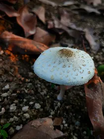 童话村