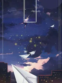 欲望小姐与妥协先生
