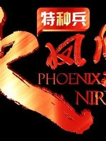 我是特种兵之火凤凰（岚岚）