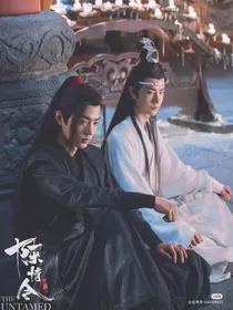 陈情令：我亲爱的蓝二夫人
