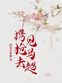 携枪去见马超