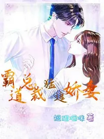 霸道总裁猛追娇妻