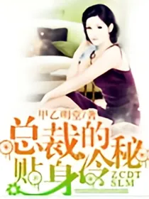 总裁的贴身冷秘