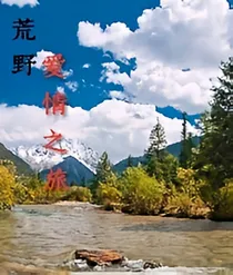 荒野爱情之旅