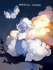 神奇宝贝之一生的经历