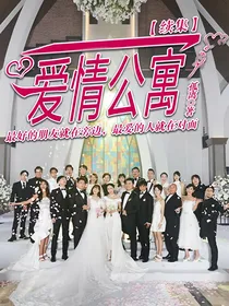 爱情公寓之网文作者