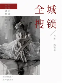 全城搜锁
