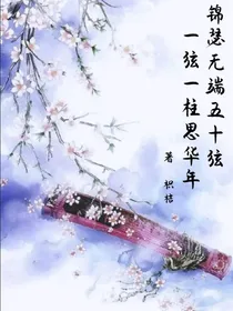 锦瑟（随笔）
