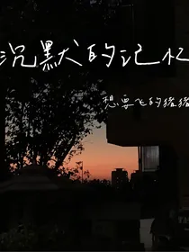 沉默的记忆