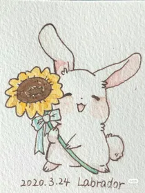 阿巴阿巴（图片）