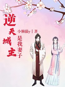 逆天城主是我妻子