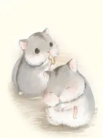 仓鼠指南