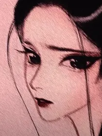 将军对不起