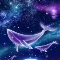 动漫图库——猫七