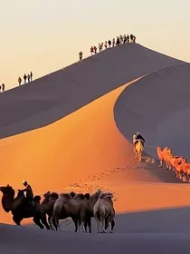 狄仁杰之和亲公主之大漠情深