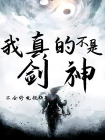 我真的不是剑神