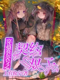 赛尔号之契约双子
