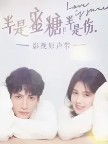 半是蜜糖半是伤2