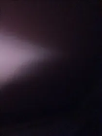 柯哀—违背死生