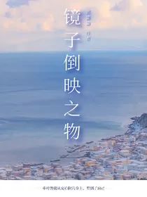 网王：镜子倒映之物
