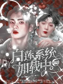 R1SE:白莲系统加载中