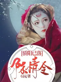陈情令：骄阳已落
