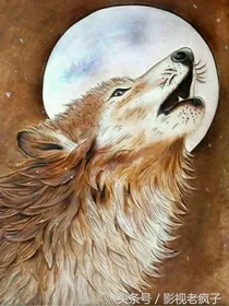 我穿越狼王梦
