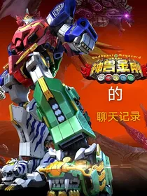 神兽金刚的聊天记录