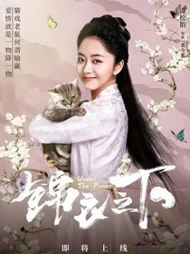 锦衣之下之前世今生（续）