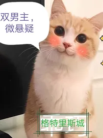 格特里斯城