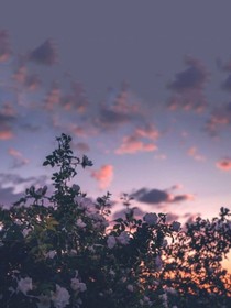 请问爱你怎样爱