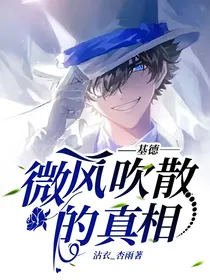 基德：微风吹散的真相