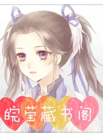 皖莹藏书阁