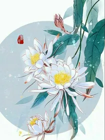 花凌文案