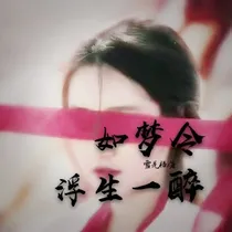 如梦令：浮生一醉
