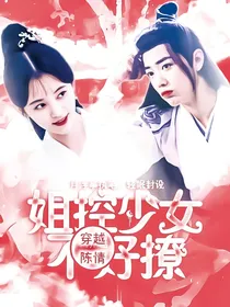 穿越陈情之姐控少女不好撩