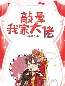 敲晕我家大佬