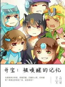 开宝：被唤醒的记忆——d325