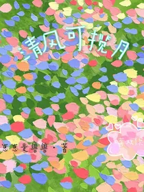 清风可揽月