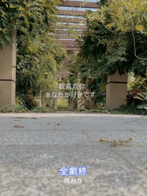 那些破碎的时光