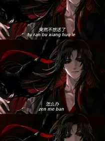 忘机无羡，痛心