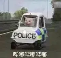 王者乙女堆