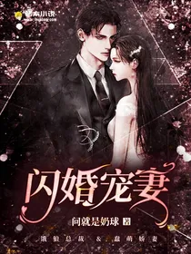 闪婚宠妻-d408