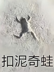 毒舌集美们的沙雕日常