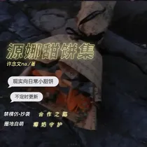 源娜甜饼集